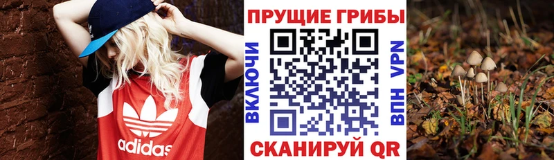 наркотики  Дюртюли  Галлюциногенные грибы прущие грибы 